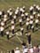 Mansfield Tigers' marching band, 1998